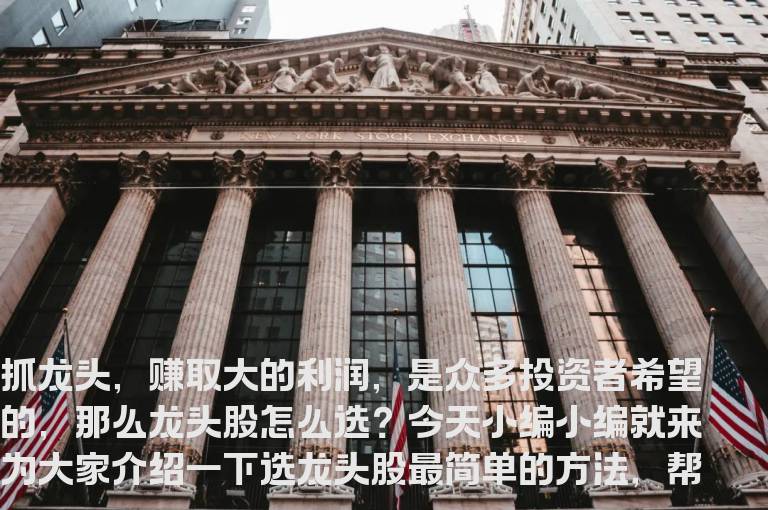 龙头股怎么选,怎么选龙头股