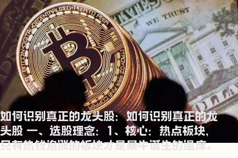 如何识别真正的龙头股