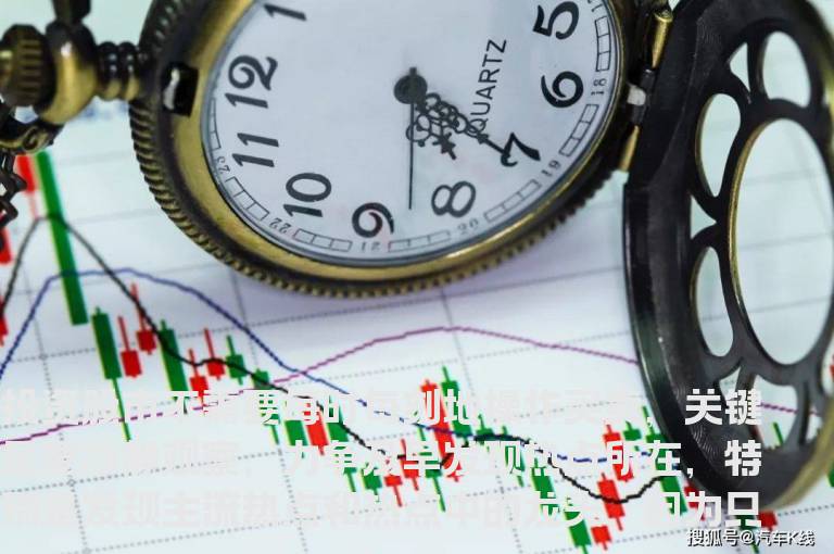 选主流热点龙头股