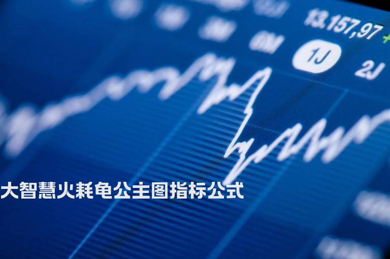 大智慧火耗龟公主图指标公式