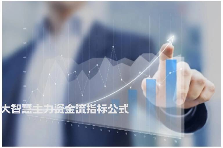 大智慧主力资金流指标公式