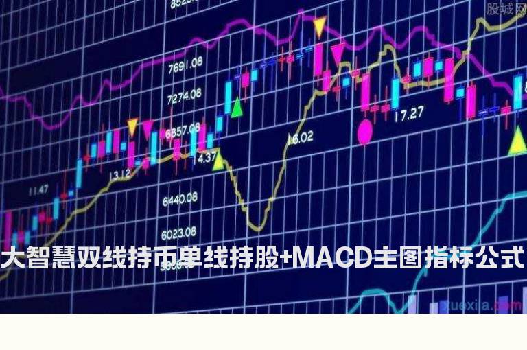 大智慧双线持币单线持股+MACD主图指标公式