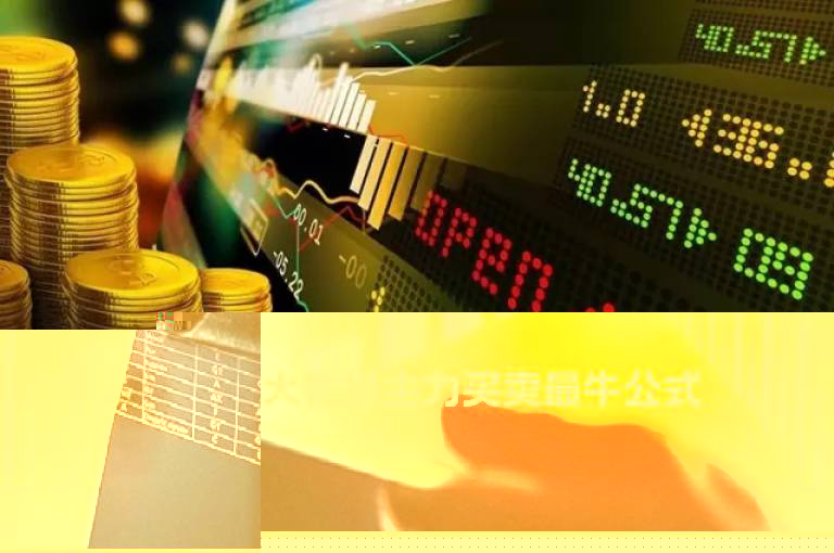 大智慧主力买卖最牛公式