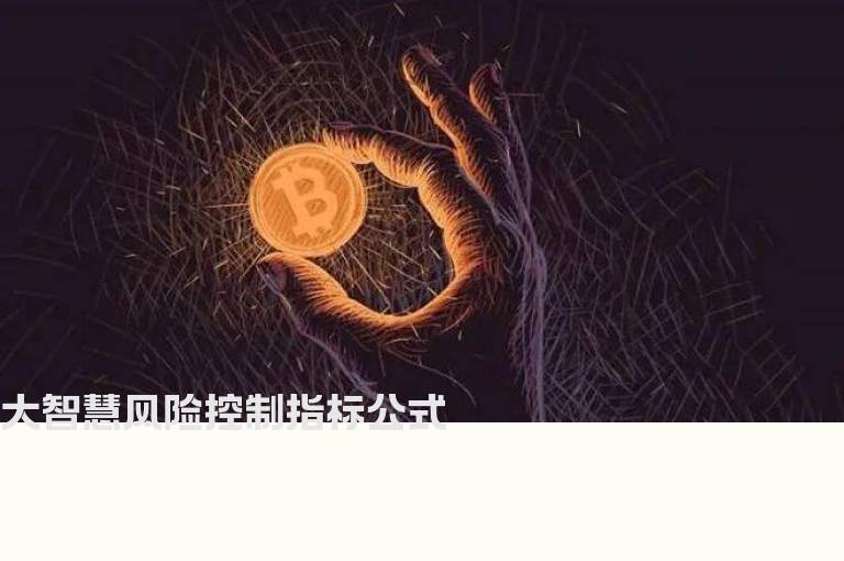 大智慧风险控制指标公式