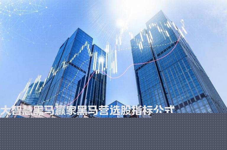 大智慧黑马赢家黑马营选股指标公式