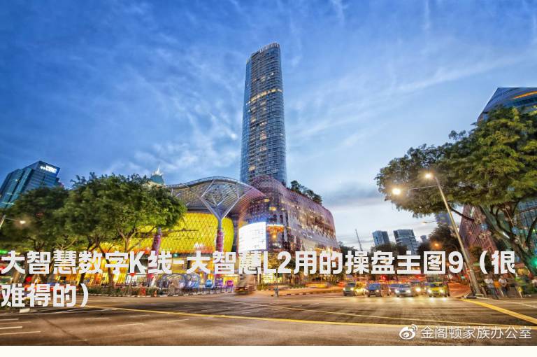 大智慧数字K线-大智慧L2用的操盘主图9（很难得的）