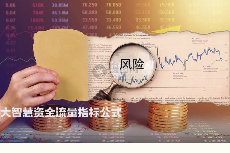 大智慧资金流量指标公式