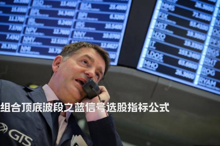 组合顶底波段之蓝信号选股指标公式
