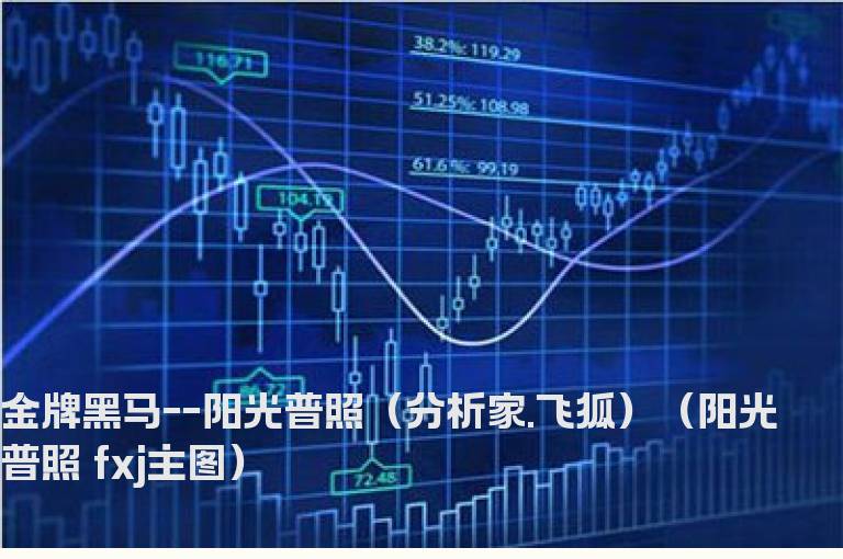 金牌黑马--阳光普照（分析家.飞狐）（阳光普照 fxj主图）