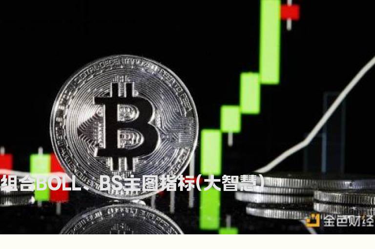 组合BOLL、BS主图指标(大智慧)
