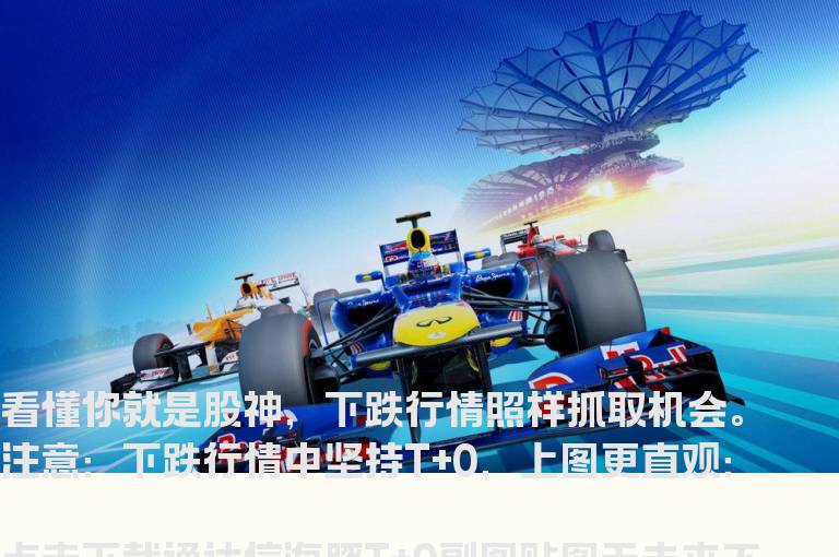 通达信海豚T+0副图贴图无未来不漂移