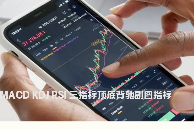 MACD KDJ RSI 三指标顶底背驰副图指标