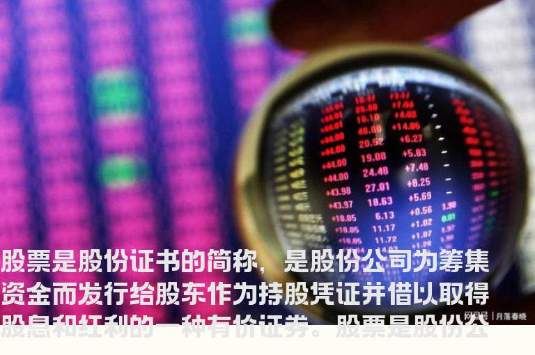 股票入门基础知识，新手必看