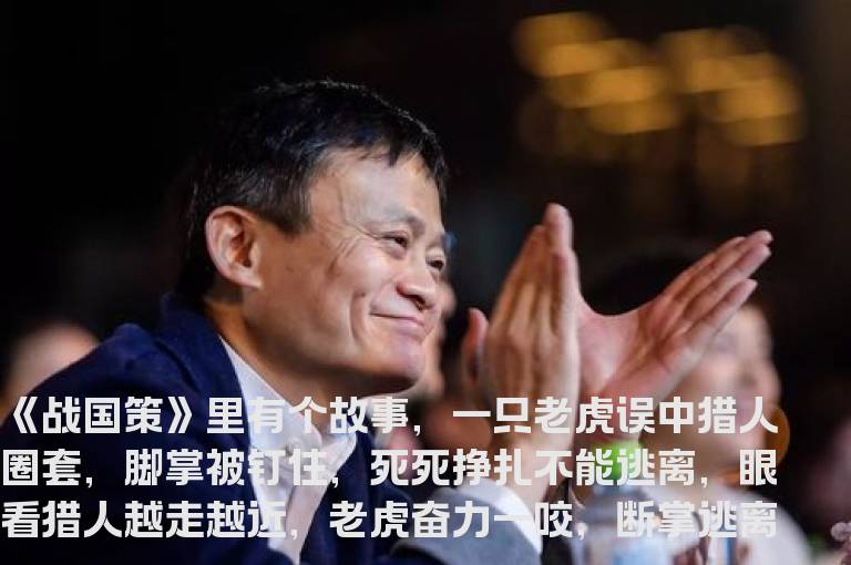 为什么一定要设止损