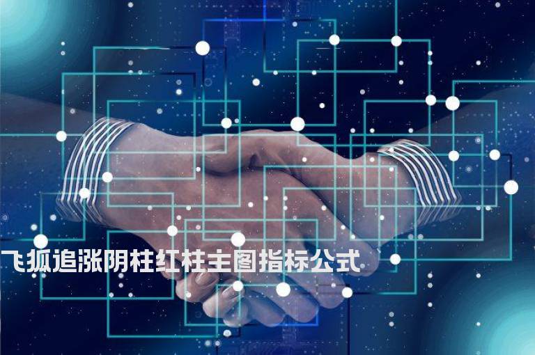 飞狐追涨阴柱红柱主图指标公式