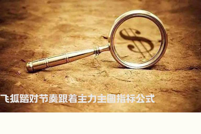 飞狐踏对节奏跟着主力主图指标公式