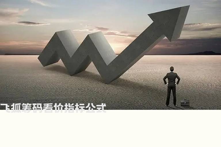 飞狐筹码看价指标公式
