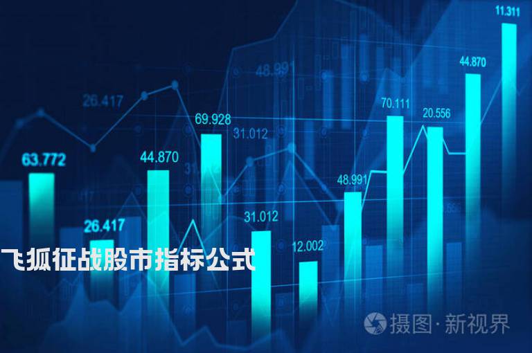 飞狐征战股市指标公式