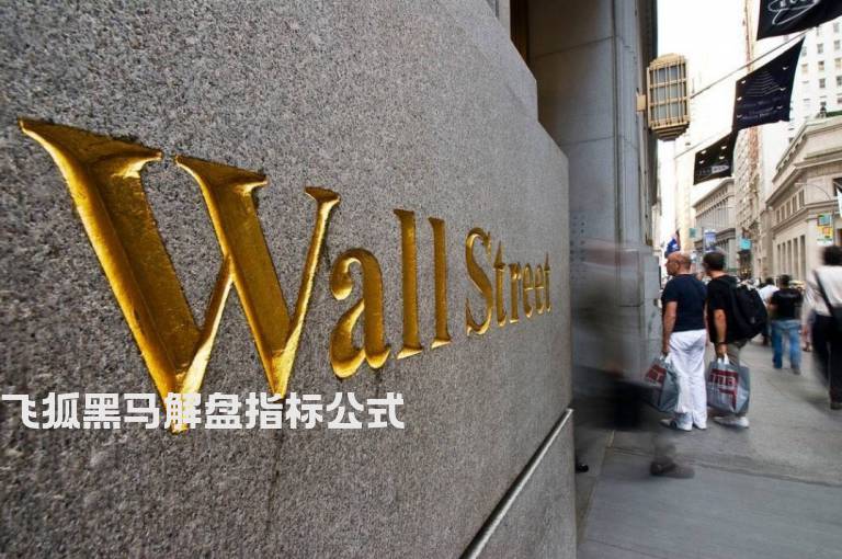 飞狐黑马解盘指标公式