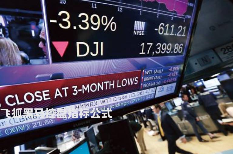 飞狐黑马控盘指标公式