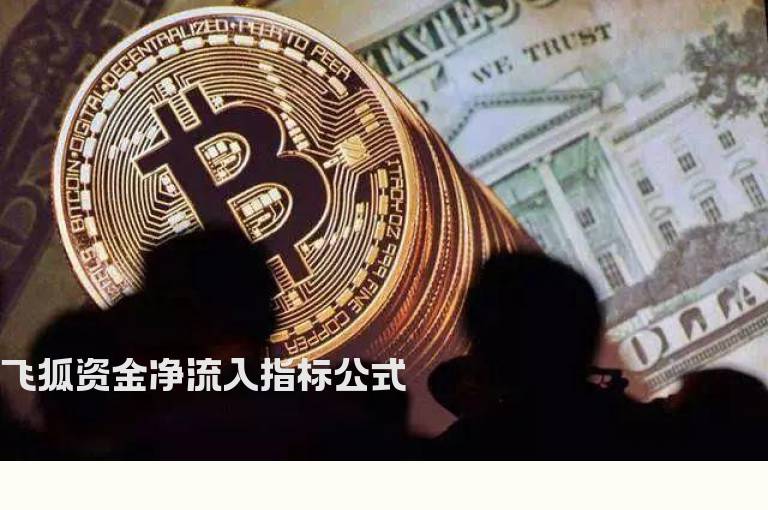 飞狐资金净流入指标公式