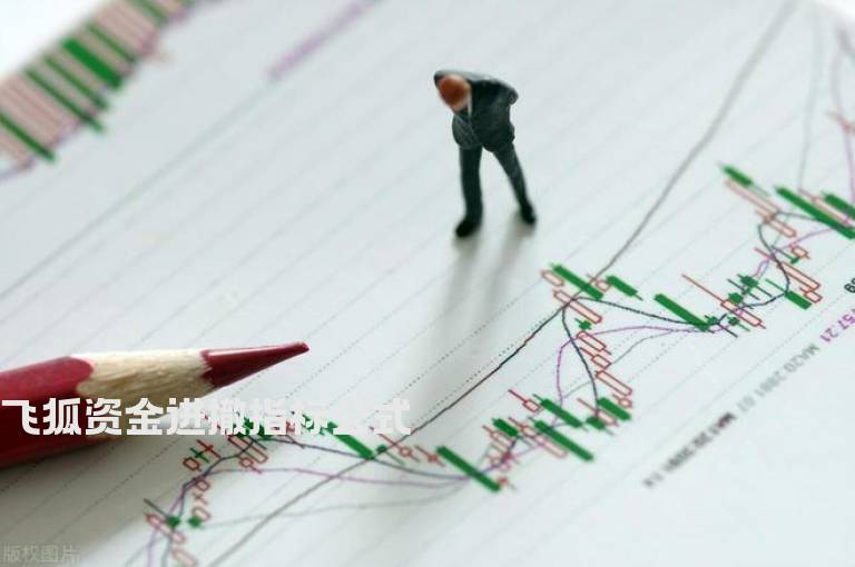 飞狐资金进撤指标公式