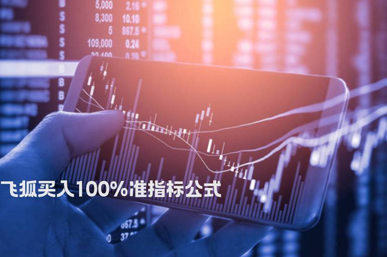 飞狐买入100%准指标公式