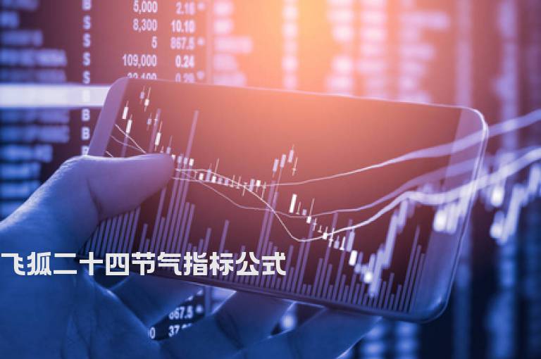 飞狐二十四节气指标公式