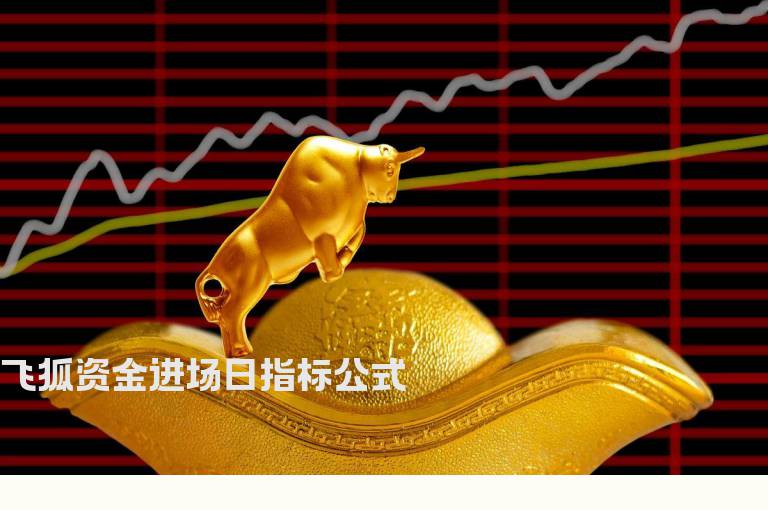 飞狐资金进场日指标公式