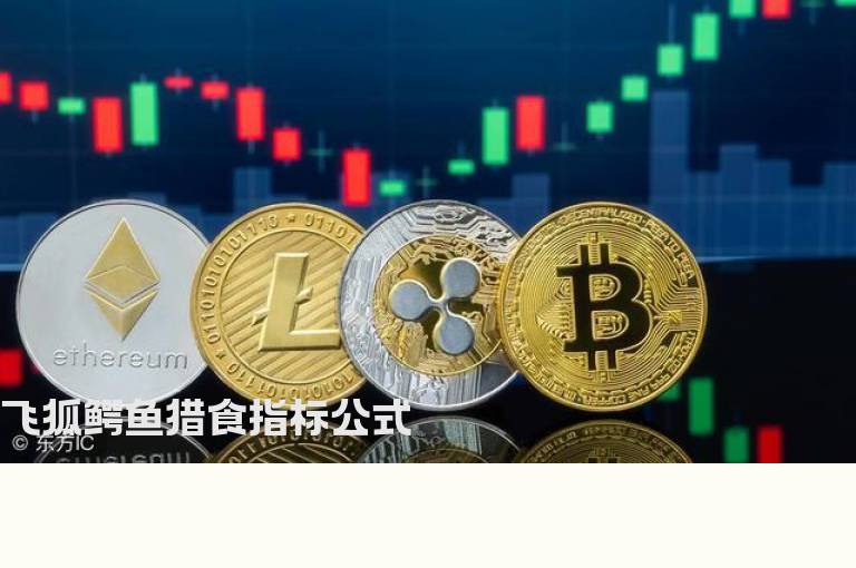 飞狐鳄鱼猎食指标公式