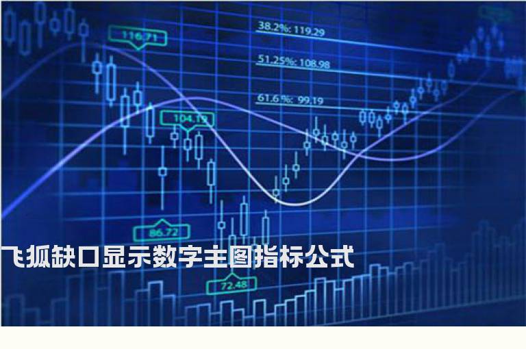 飞狐缺口显示数字主图指标公式