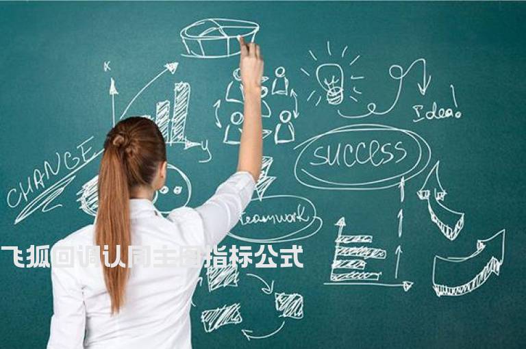 飞狐回调认同主图指标公式