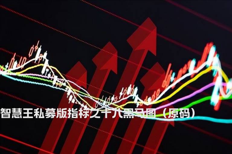 智慧王私募版指标之十八黑马图（原码）