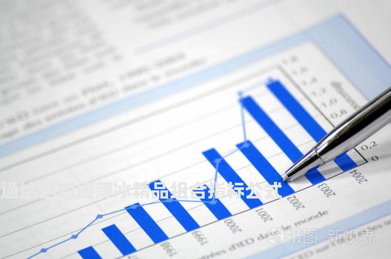 通达信如履薄冰精品组合指标公式