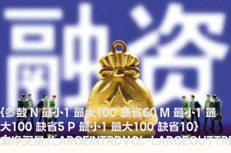 仿大智慧之通达信L2DDX