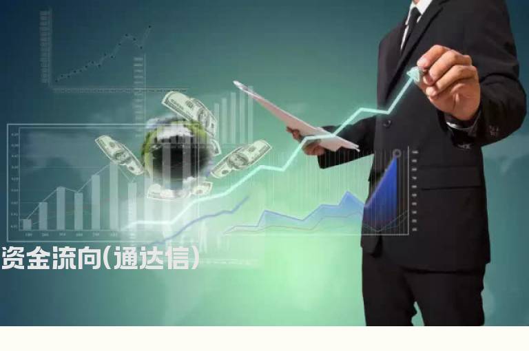 资金流向(通达信)