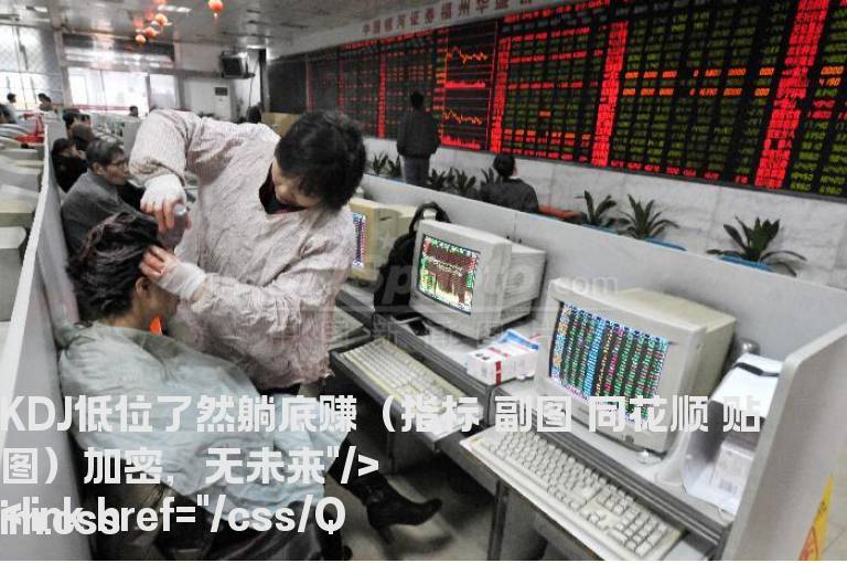 KDJ低位了然躺底赚（指标 副图 同花顺 贴图）加密，无未来