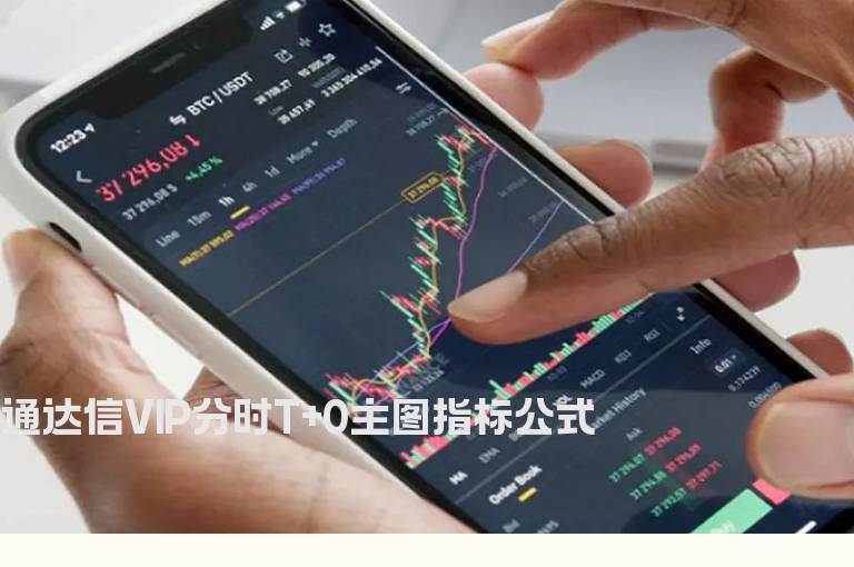 通达信VIP分时T+0主图指标公式