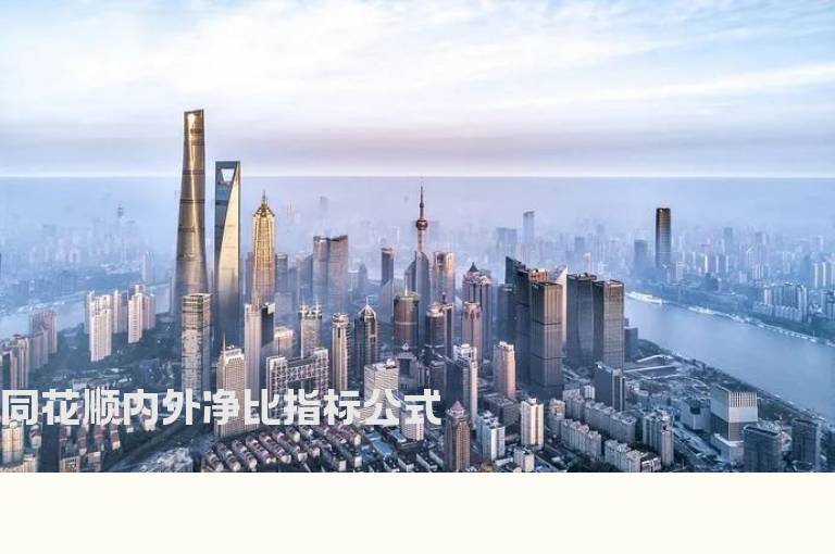 同花顺内外净比指标公式