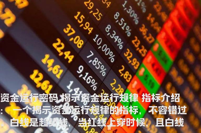 资金运行密码 揭示资金运行规律