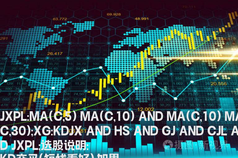 理想主义选股公式