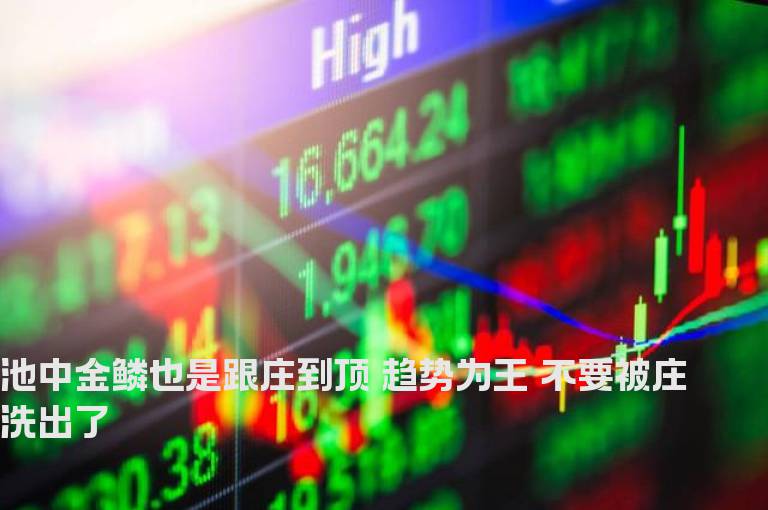 池中金鳞也是跟庄到顶 趋势为王 不要被庄洗出了