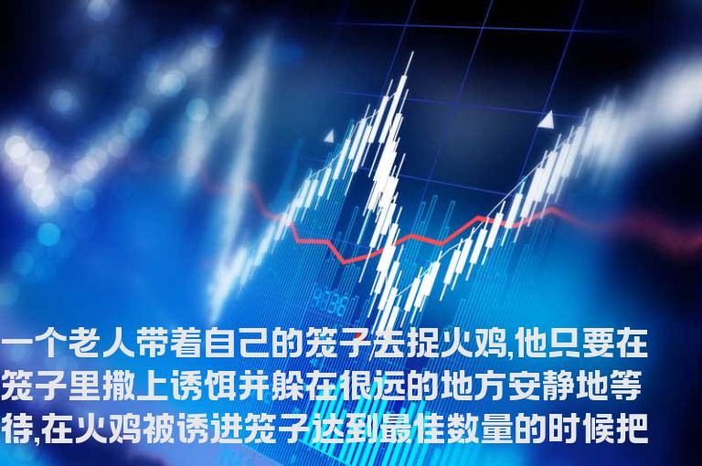 止损才是赚钱的根本