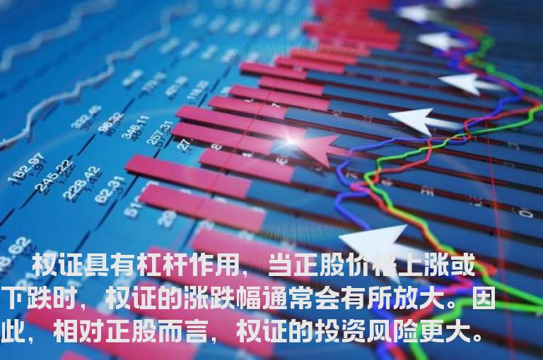 投资权证资金如何分配