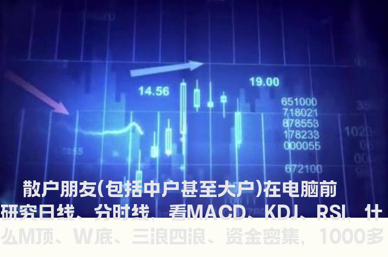 散户赚钱的真正技巧
