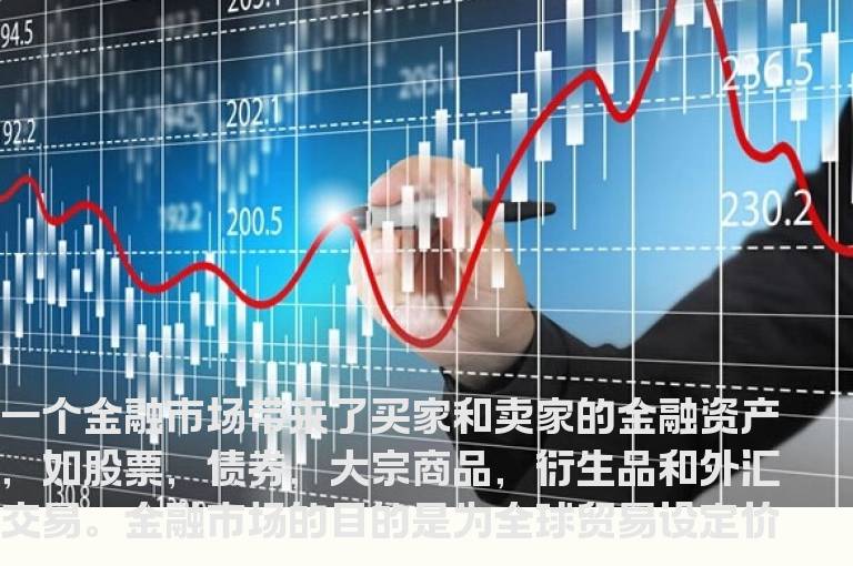 金融市场：资本与货币市场