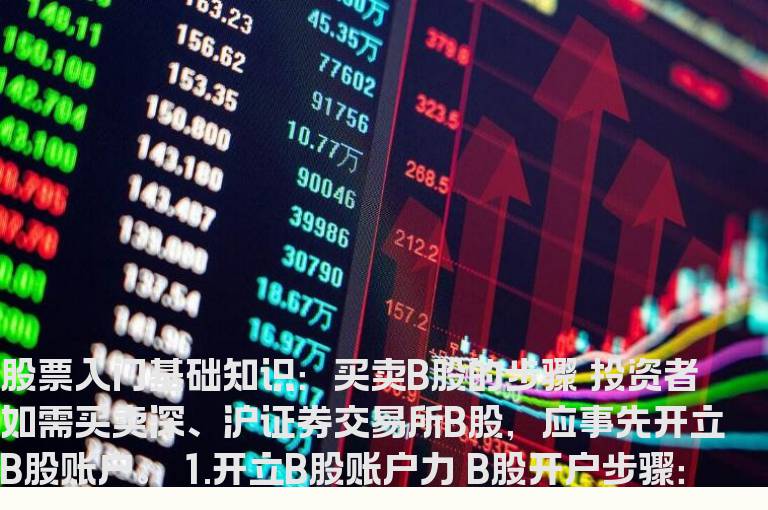 股票入门基础知识：买卖B股的步骤