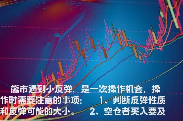 小反弹的操作心得
