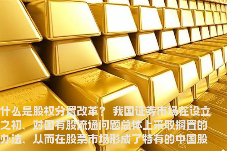 什么是股权分置改革？