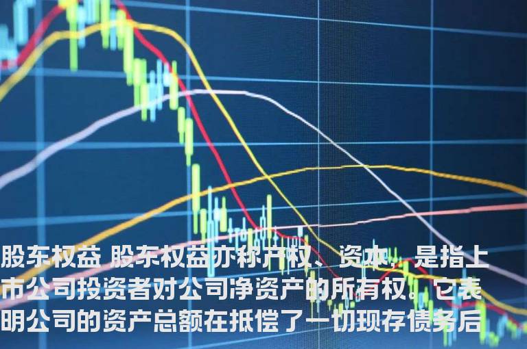 股东权益是什么意思